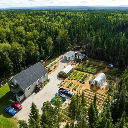 Cormack Upper Humber Settlement A Farmstay B&B المظهر الخارجي الصورة