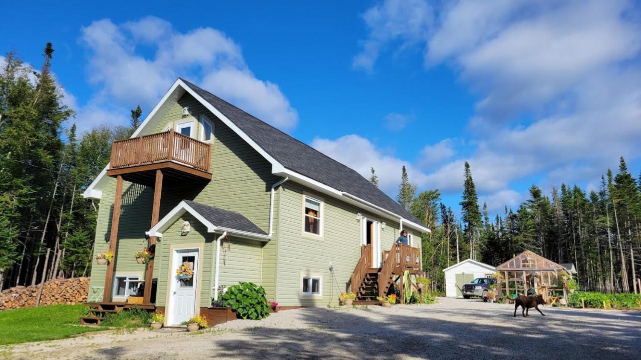 Cormack Upper Humber Settlement A Farmstay B&B المظهر الخارجي الصورة