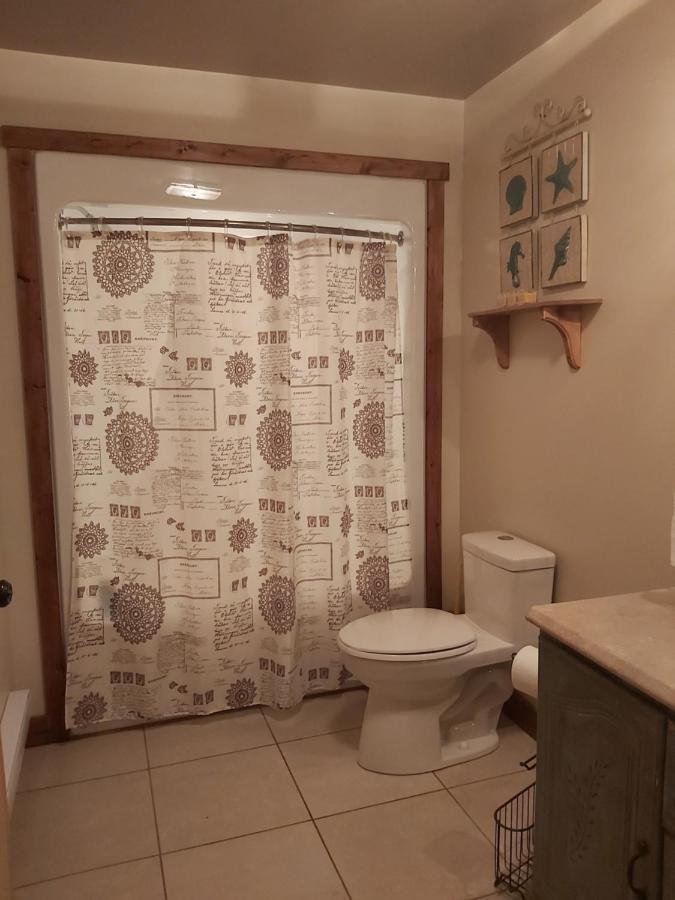 Cormack Upper Humber Settlement A Farmstay B&B المظهر الخارجي الصورة