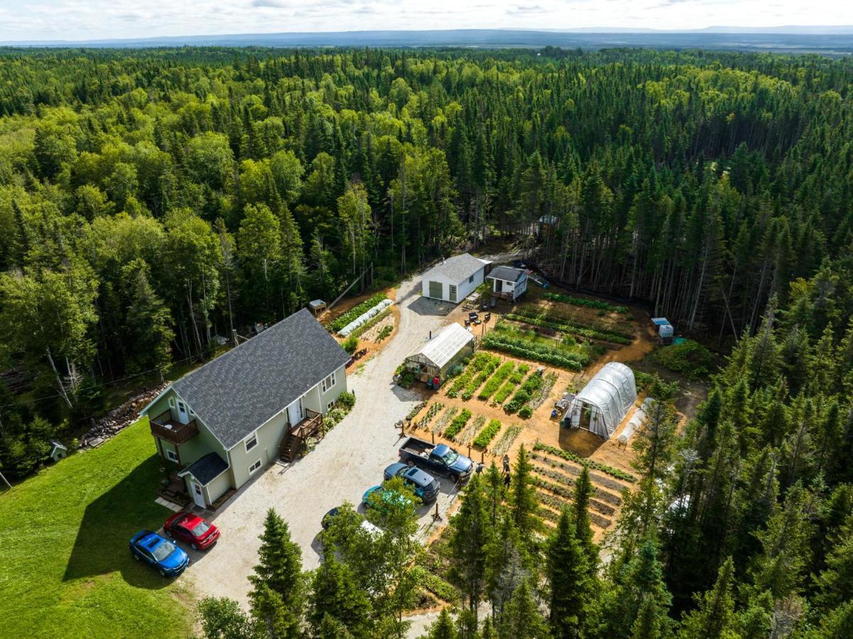 Cormack Upper Humber Settlement A Farmstay B&B المظهر الخارجي الصورة