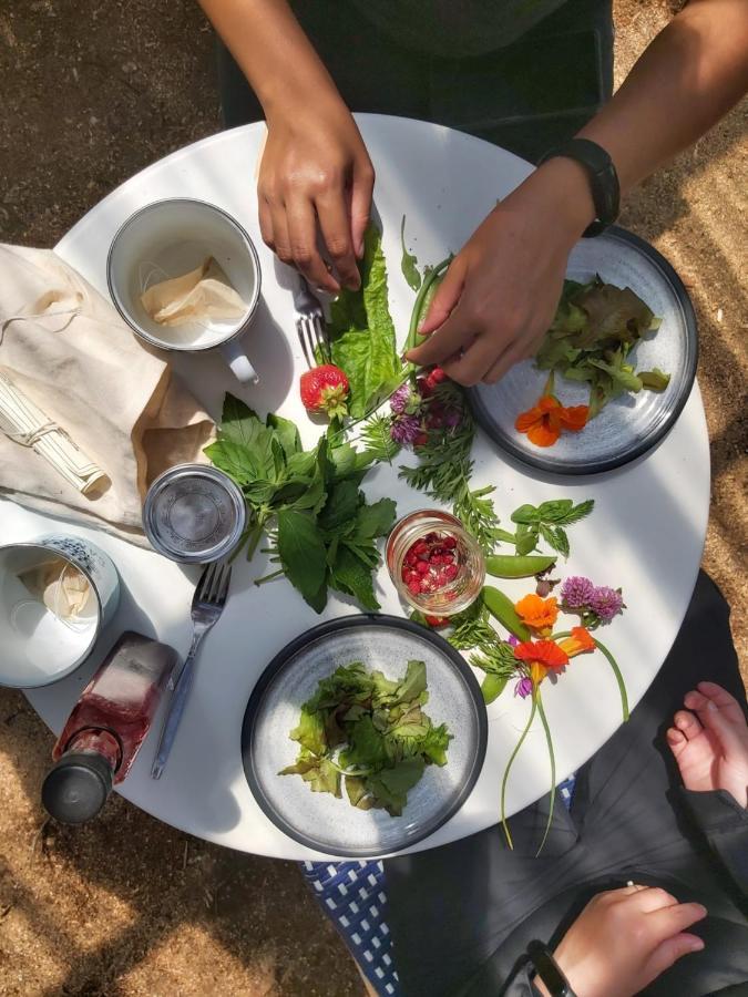 Cormack Upper Humber Settlement A Farmstay B&B المظهر الخارجي الصورة
