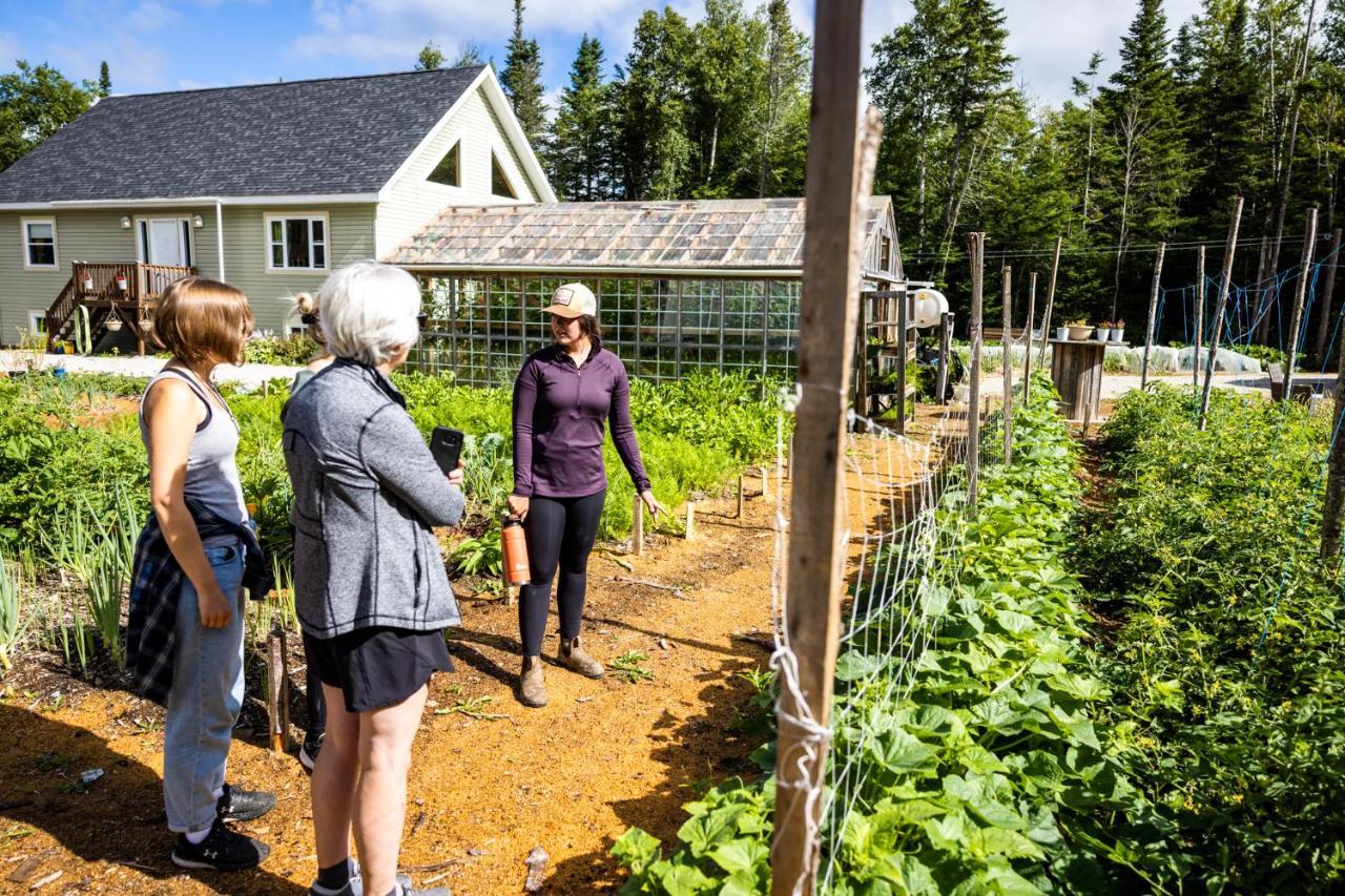 Cormack Upper Humber Settlement A Farmstay B&B المظهر الخارجي الصورة