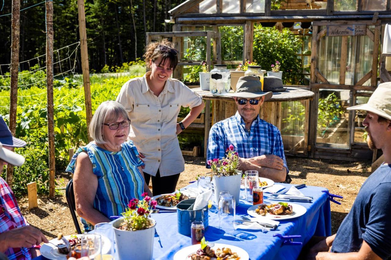 Cormack Upper Humber Settlement A Farmstay B&B المظهر الخارجي الصورة